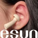 [공지] 11월 4주차 성수동 팝업스토어 정보, 클리오, 누즈, 어그, 몰티져스 등