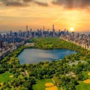 뉴욕뉴욕(New York New York) 이미지