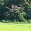 도이2리 이미지