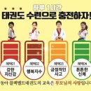 블랙벨트태권도 이미지