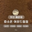 온전기재료 | [부산 해운대]효소온 여유드림점 l 부산효소찜질로 독소제거 하고온 후기