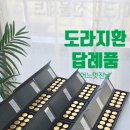 공*환 | [세종 어느멋진날] 도라지정과 보다 깊고 진한 맛의 인후단(도라지환) 답례품 후기