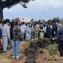 북촌초등학교 이미지