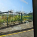 초이짐(CHOI.GYM) | [2024.01] 홍콩-마카오 자유여행 4일차