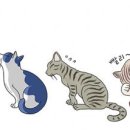 모래 공중화장실 이미지