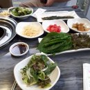 힘찬 민물 장어 이미지