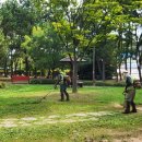 무전 해변공원 이미지