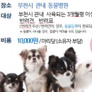정샘동물병원 이미지