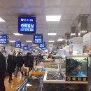 금성상회 이미지