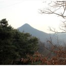 월산1리 티스토리