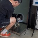 김포 동물병원 치료해주오 이미지