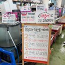 형제수산 | 경주 감포 회 맛집 형제수산 후기 | 가성비 끝판왕 모듬회 포장 🐟