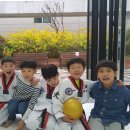 호반효태권도 이미지