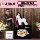 개성있냥 이미지