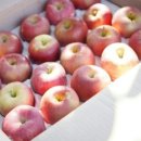 매산농원 이미지