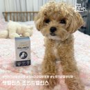 신체밸런스와 건강 | 영양과 기호성을 모두 생각한 강아지 관절영양제 펫밸런스 조인트밸런스