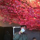 씨어터 쿰 티스토리