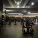 MVM휘트니스 | 성복동 운동 초보 헬스장 찾다가 발견한 성복역 MVM피트니스 후기