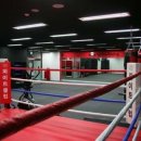 파이트클럽복싱 이미지