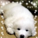 깐돌이푸드 이미지