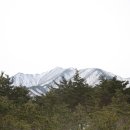 석성중앙가스 | 두타산(1,353m) 겨울산행(2014년 3월 8일/토)