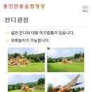 단풍숲캠핑장 티스토리