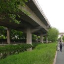 사천교 버스정류장 이미지