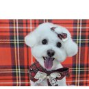 귀엽꾸멍 이미지