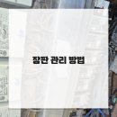 장판24시