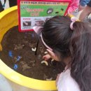 여주-0524 이미지