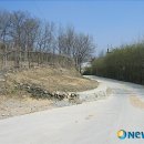 평곡리 석조보살입상 이미지