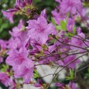 태성초등학교 이미지