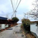 야막리마을회관 | 삼남길 제9길 진위고을길 上(맑음터공원~봉남3리정자)2022년 11월 13일