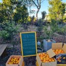 청구농장 이미지