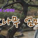 소나무 엄마(Pine Tree Mom) 한창희 작시,작곡 I 트로트 시노래 이미지
