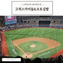 한국오토 | 고척스카이돔 오토김밥과 4층지정석 411좌석 시야 후기