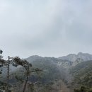 초록별마을 | 담양 숙소 추천 리사숲속마을 우주마을 카라반 솔직후기 광주 근교 숙소 추천