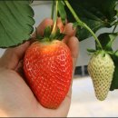 종합운동장 보조경기장 화장실 이미지