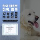 에스동물병원 이미지