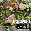 유스풀 | 장미꽃다발 추천, 유스풀몰 생화 꽃다발 후기