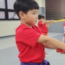 강철태권도체육관 이미지