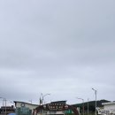 비용, 우도 입도 시간표, 성산포항 종합여객 터미널 주차 후기, 전기차, 바이크 렌트 추천, 바이크 대여...