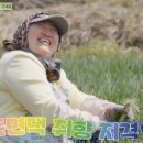진짜밥상 이미지