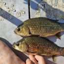 부여(외산)-7 이미지