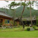 그림조경
