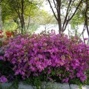 구암농장 이미지