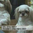 참 이미지
