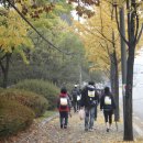 청계천길 이미지