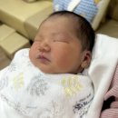 부산 산후도우미 업체 금줄베이비시터코리아 4주 이용솔직후기