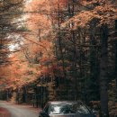 둔산중로-19 이미지